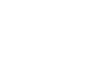 The Audit Toolbar